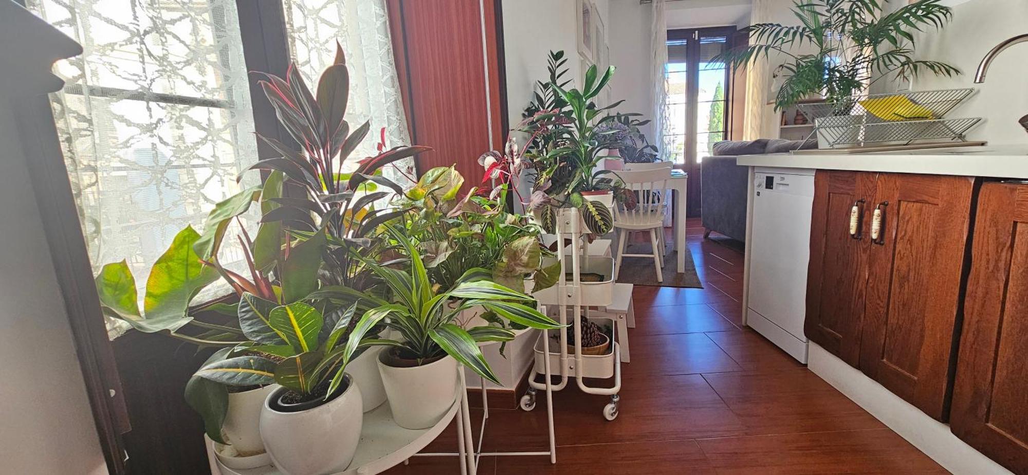 Apartamentos Los Descalzos Angel With Private Terrace Free Parking Ронда Екстер'єр фото