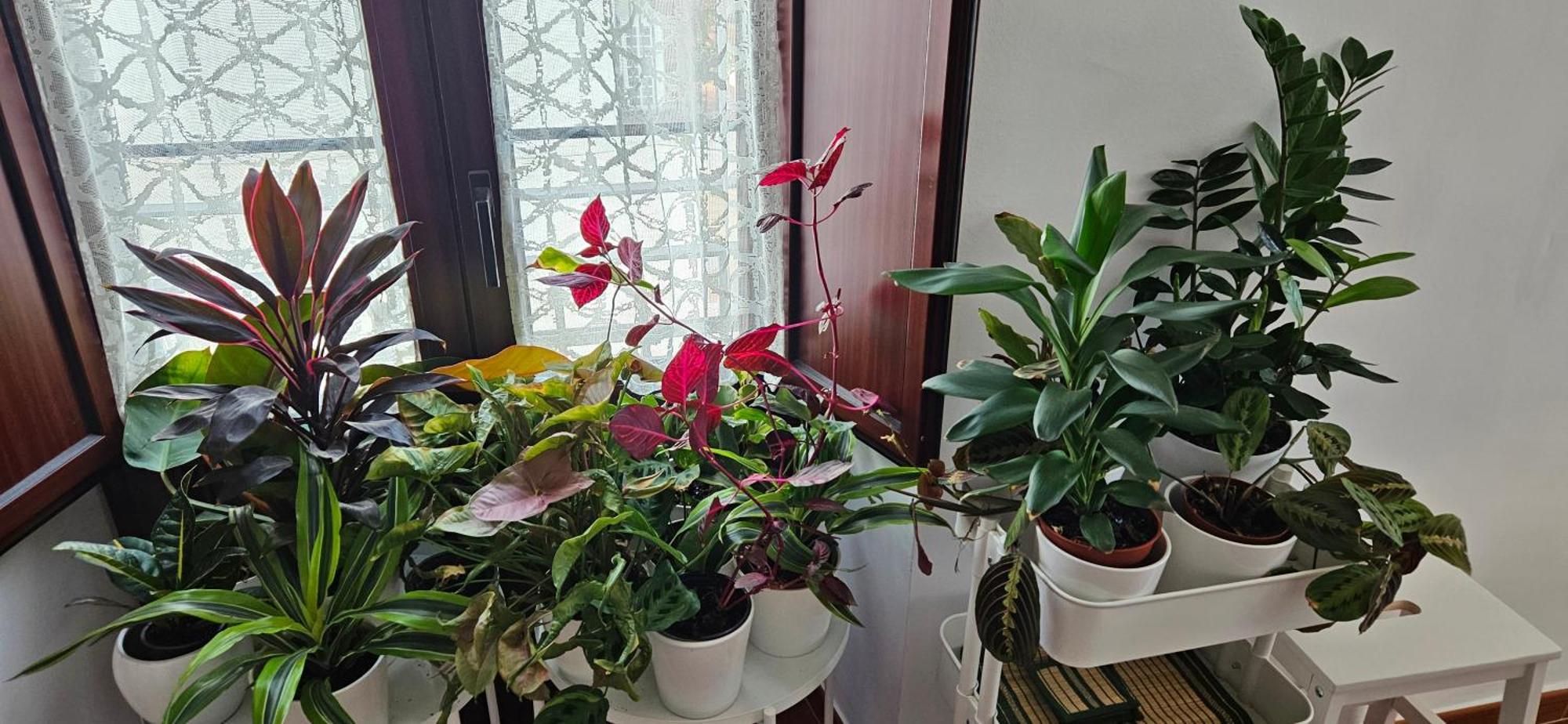 Apartamentos Los Descalzos Angel With Private Terrace Free Parking Ронда Екстер'єр фото