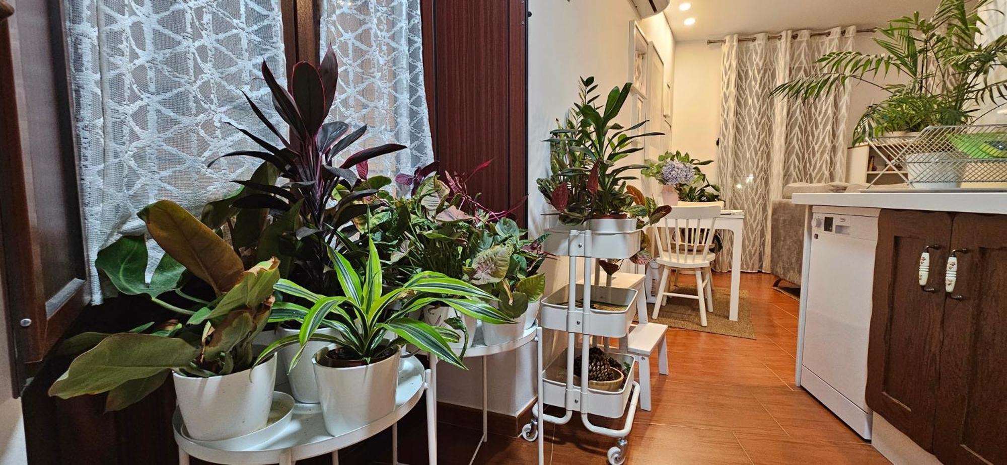 Apartamentos Los Descalzos Angel With Private Terrace Free Parking Ронда Екстер'єр фото